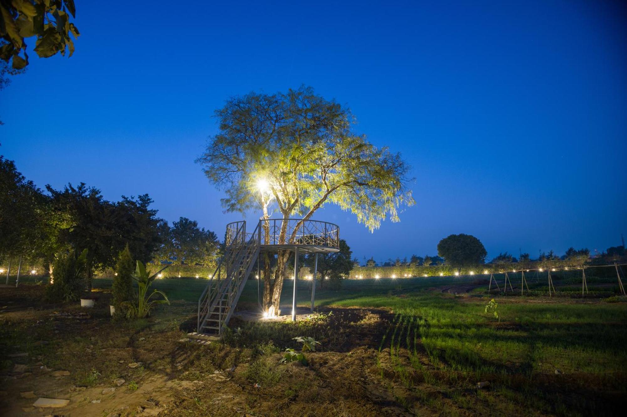 DhaujElivaas Hidden Oasis 4Bhk With Pool, Mud House & Container House别墅 外观 照片